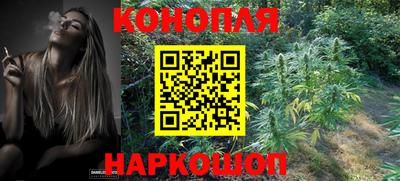 дмт Краснознаменск