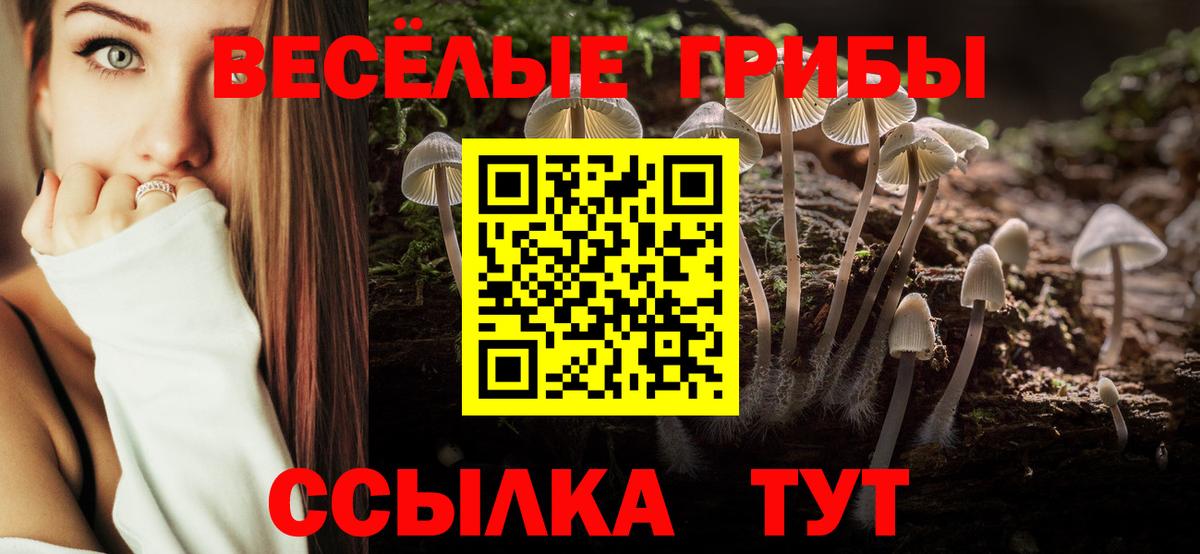 Изобильный  Галлюциногенные грибы Psilocybine cubensis  Вход с VPN 